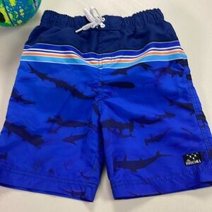 Boys swim trunks